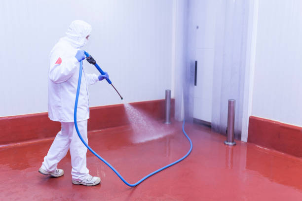 Pre-Holiday Cleaning in Jamestown, CA